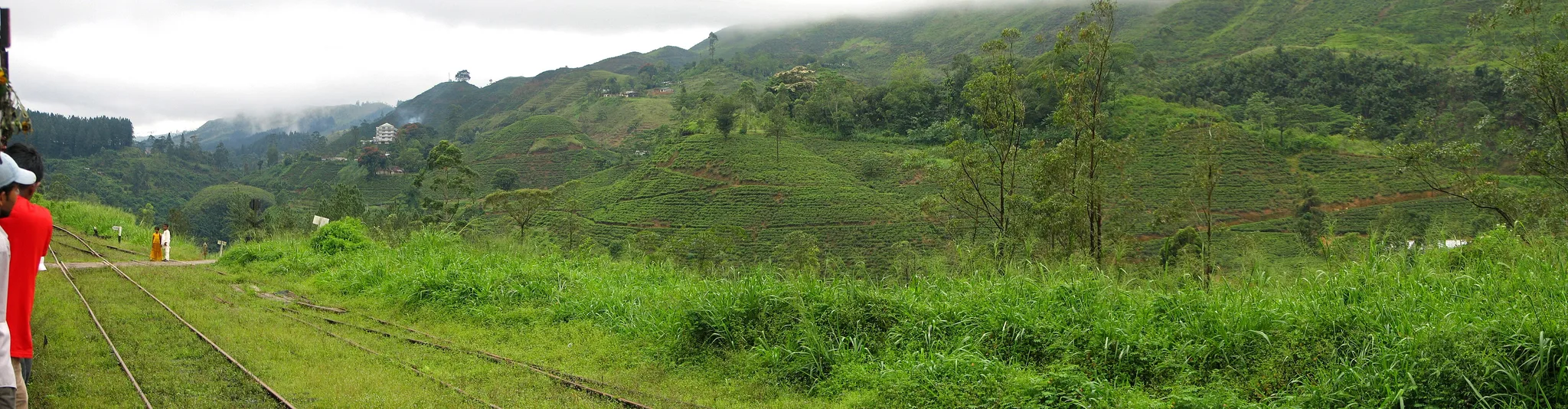 Hill Country by Train — Tea country, Sri Lanka